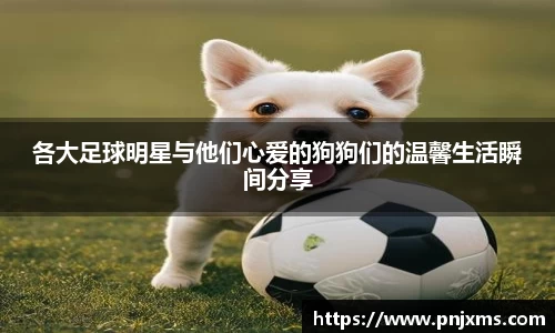 各大足球明星与他们心爱的狗狗们的温馨生活瞬间分享